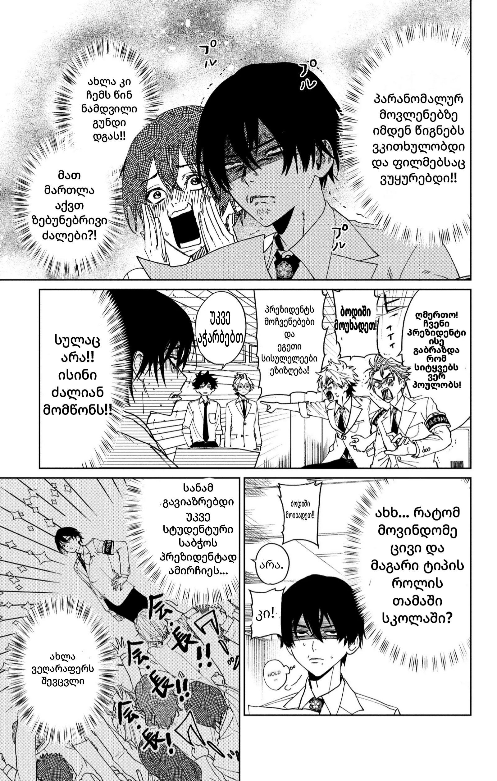 Page (13)